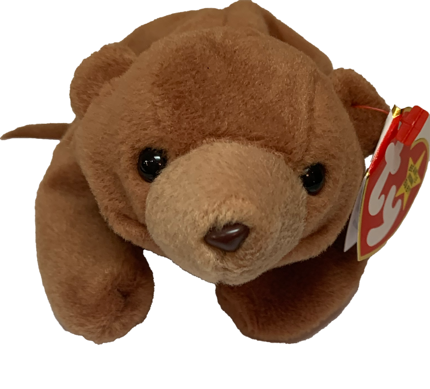 ZZA-CUBBIE (ORIGIONAL 9)